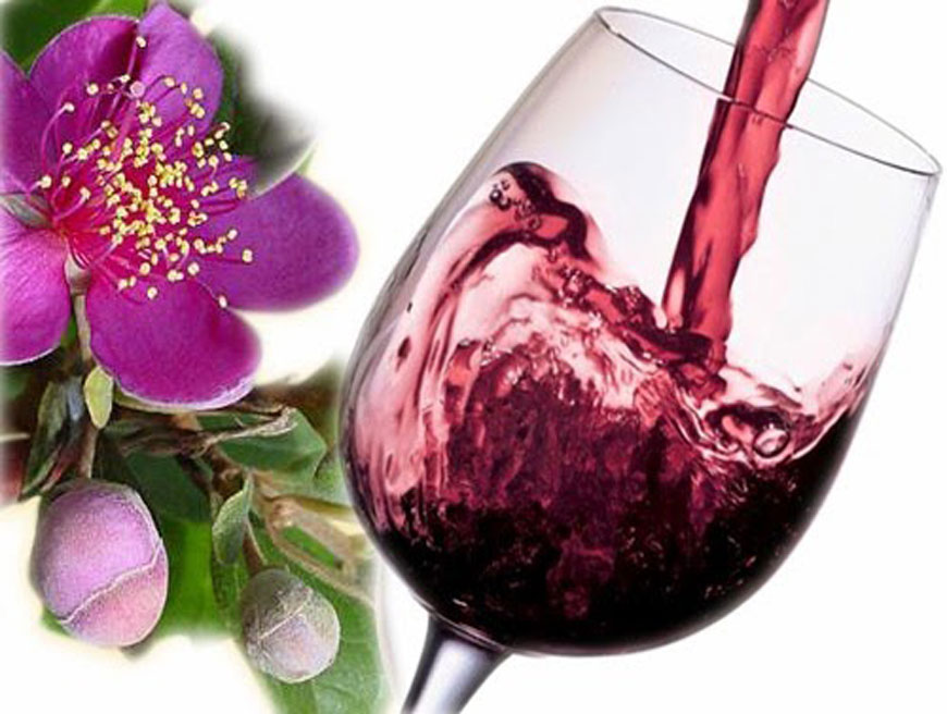“So sánh” công dụng của rượu vang sim và vang nho truyền thống
